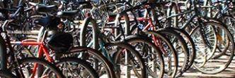 How many bikes can I fit in a bike shed?